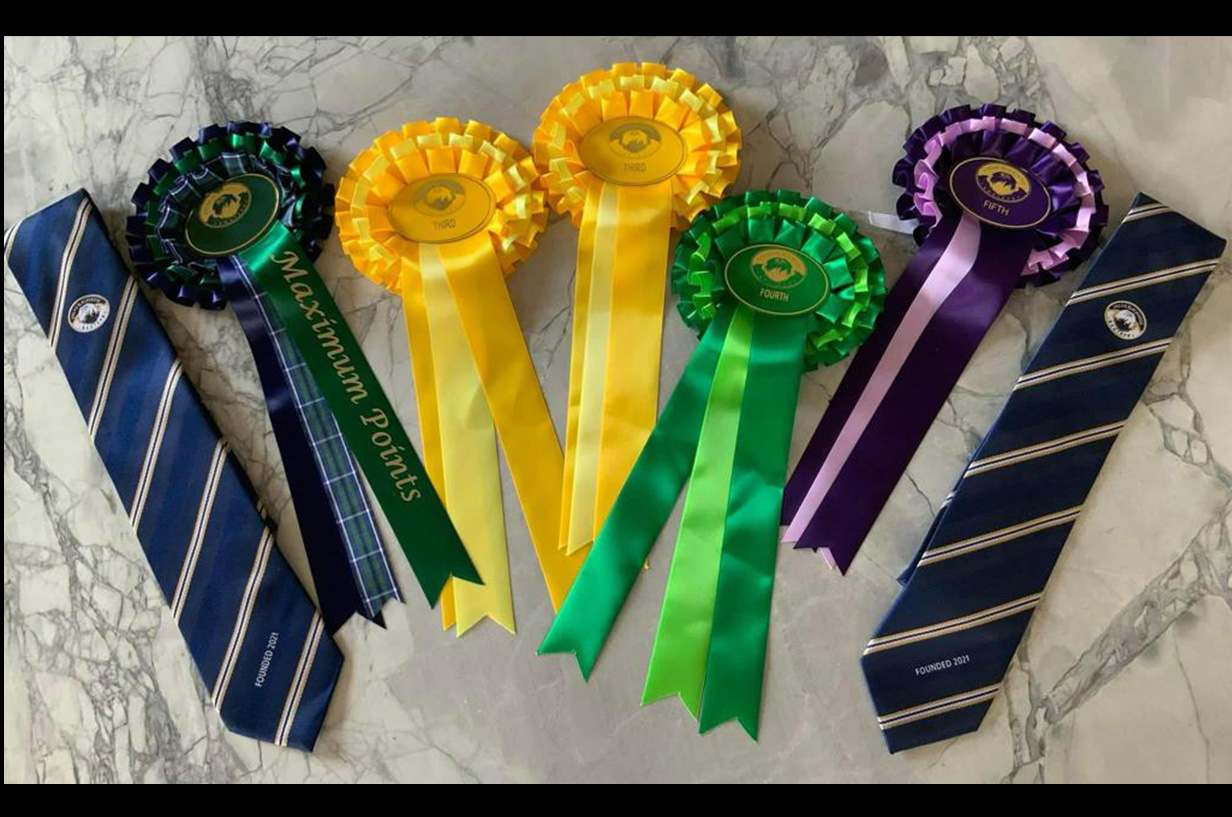 Jenny Campbells awards for the Valais Blacnkse Sheep competitions she enters.